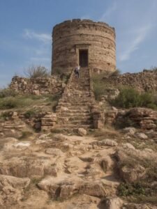 Cooking guide for Tongue Beef Tagine
